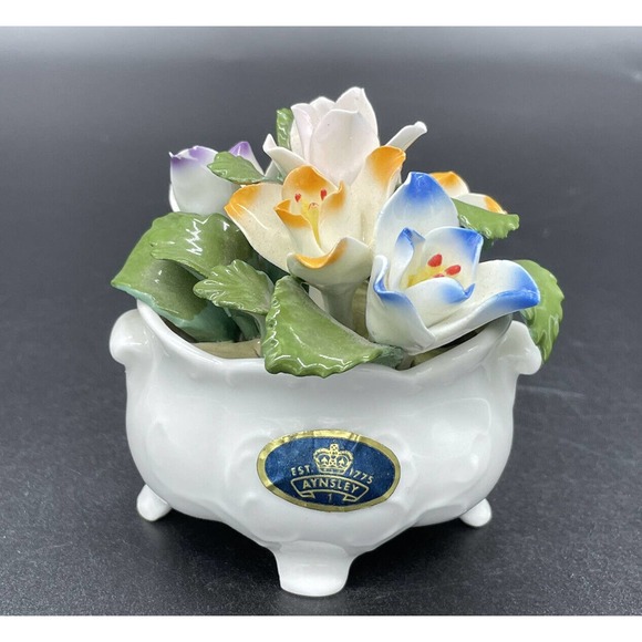 Vintage Aynsley Bone China February Crocus Floral Arrangement Birth Month - Picture 1 of 9